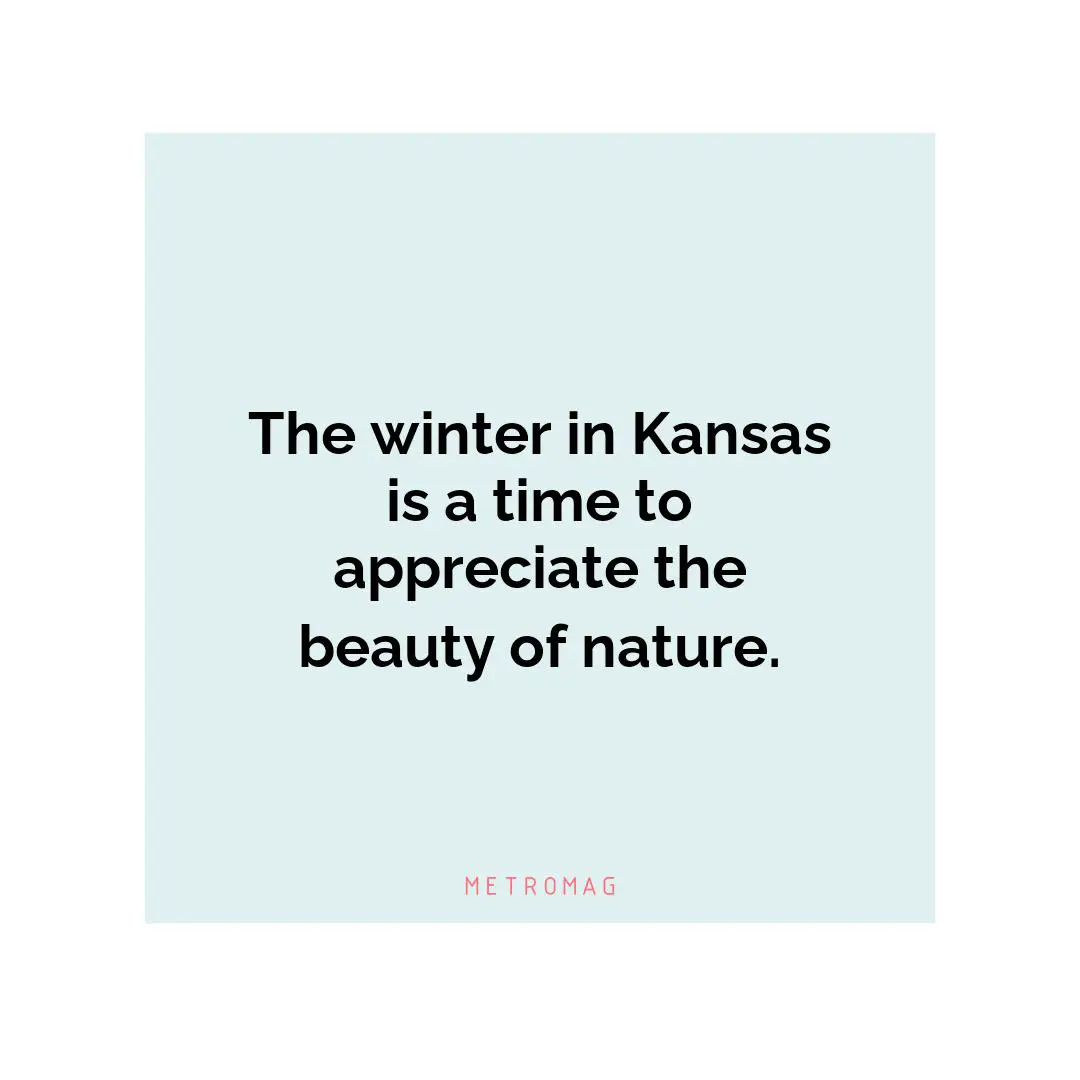 The winter in Kansas is a time to appreciate the beauty of nature.