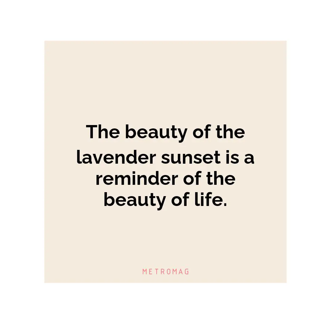 The beauty of the lavender sunset is a reminder of the beauty of life.