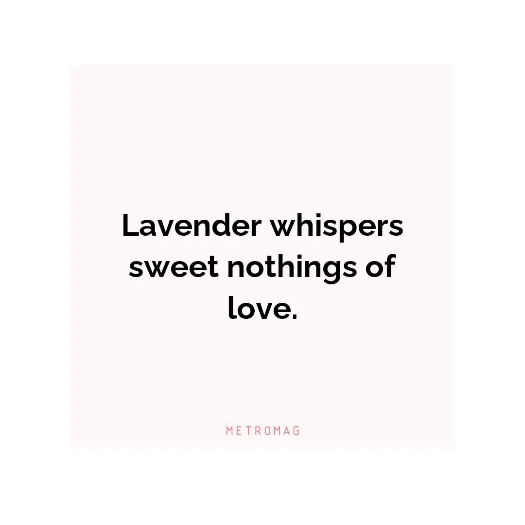 Lavender whispers sweet nothings of love.