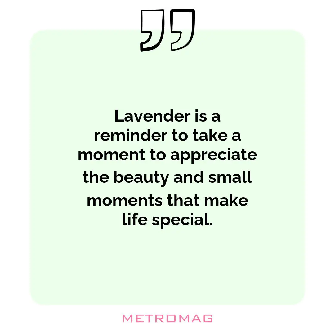 Lavender is a reminder to take a moment to appreciate the beauty and small moments that make life special.