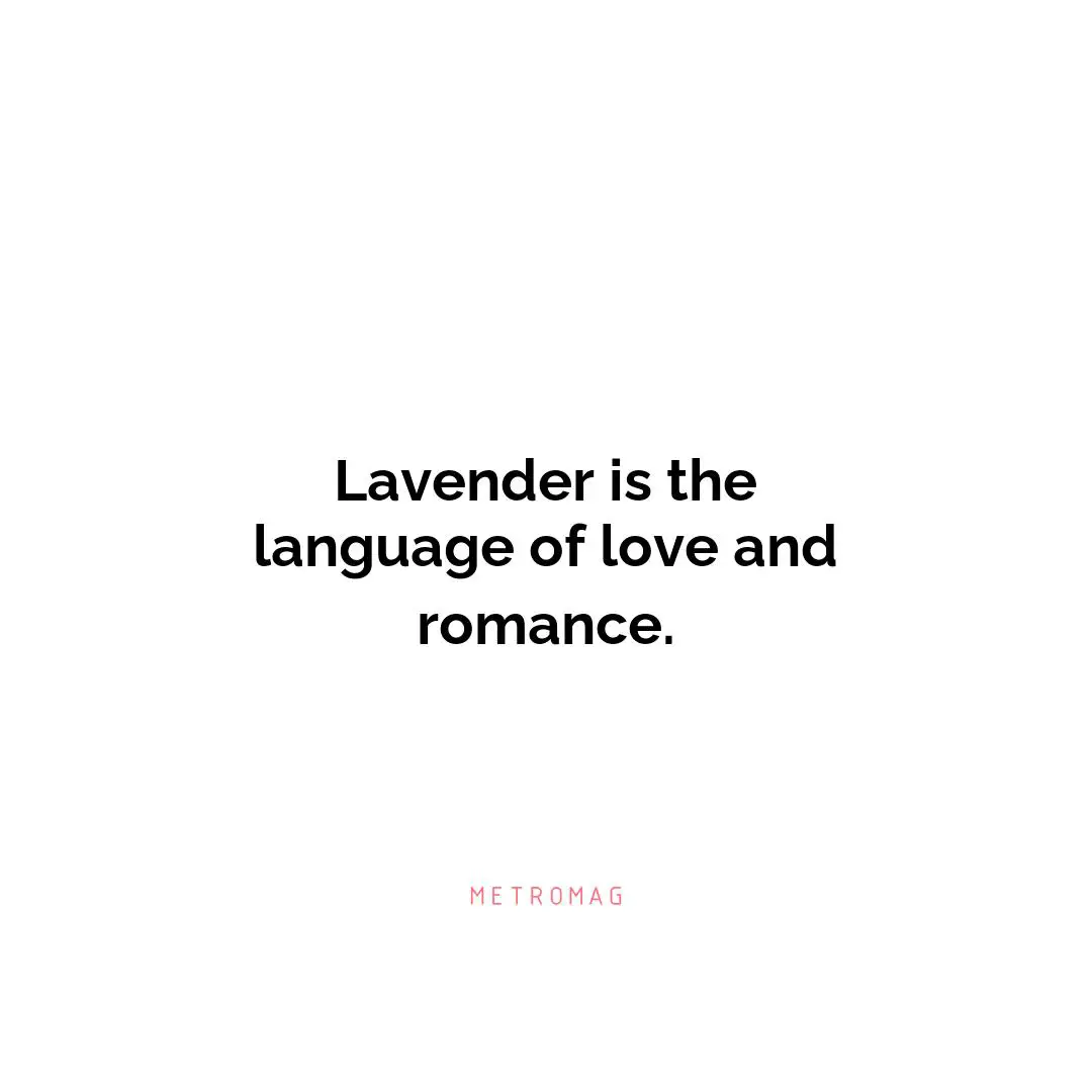 Lavender is the language of love and romance.