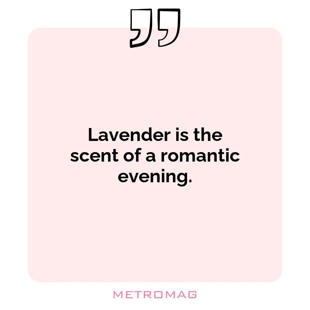 Lavender is the scent of a romantic evening.