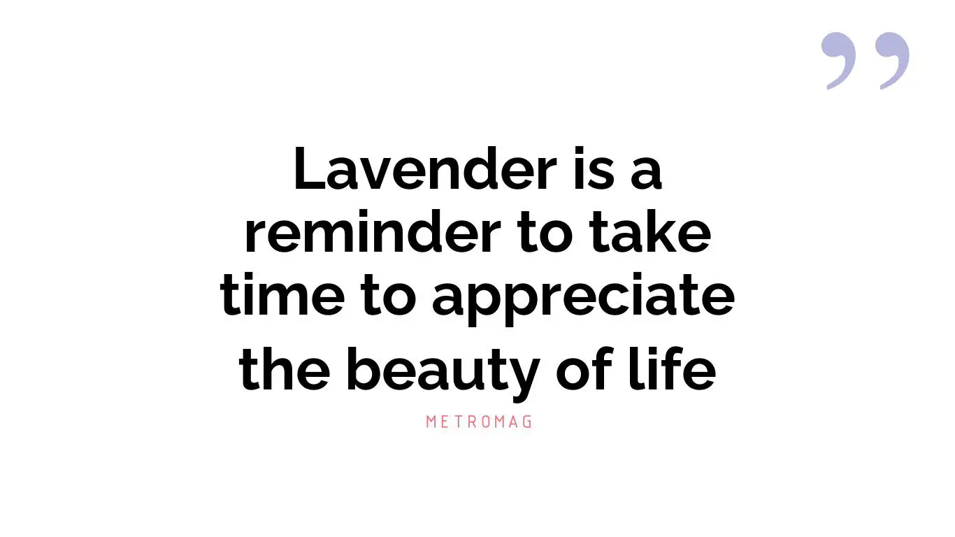Lavender is a reminder to take time to appreciate the beauty of life