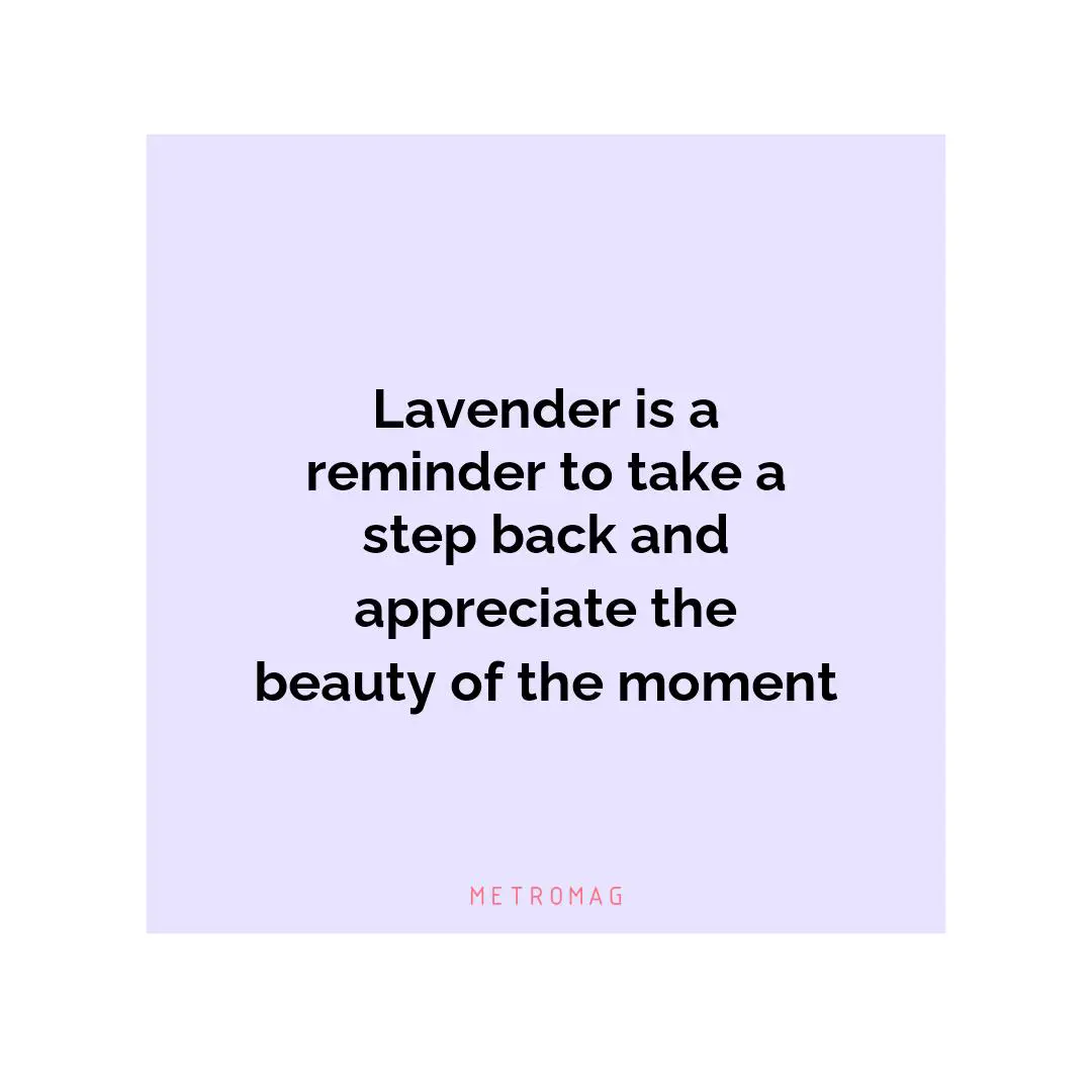 Lavender is a reminder to take a step back and appreciate the beauty of the moment