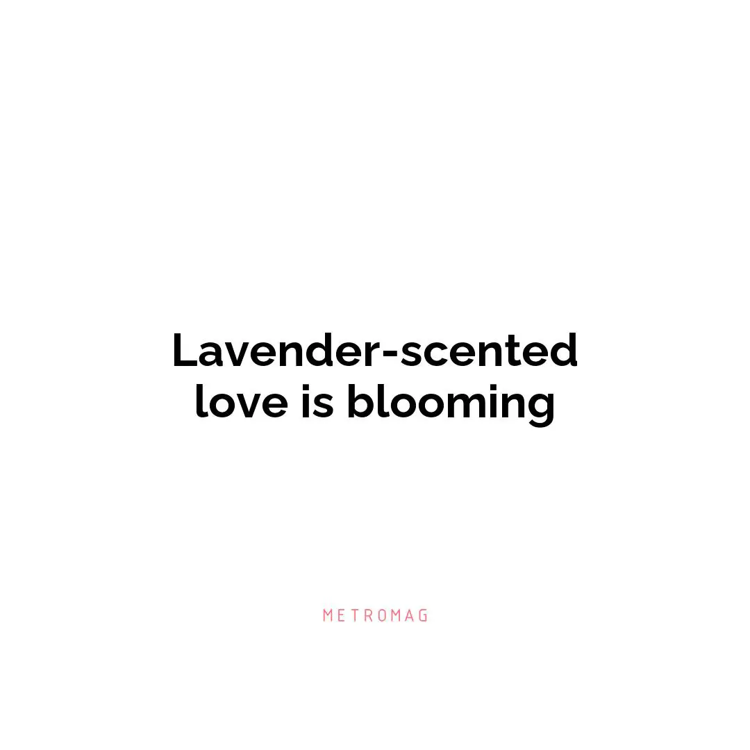 Lavender-scented love is blooming