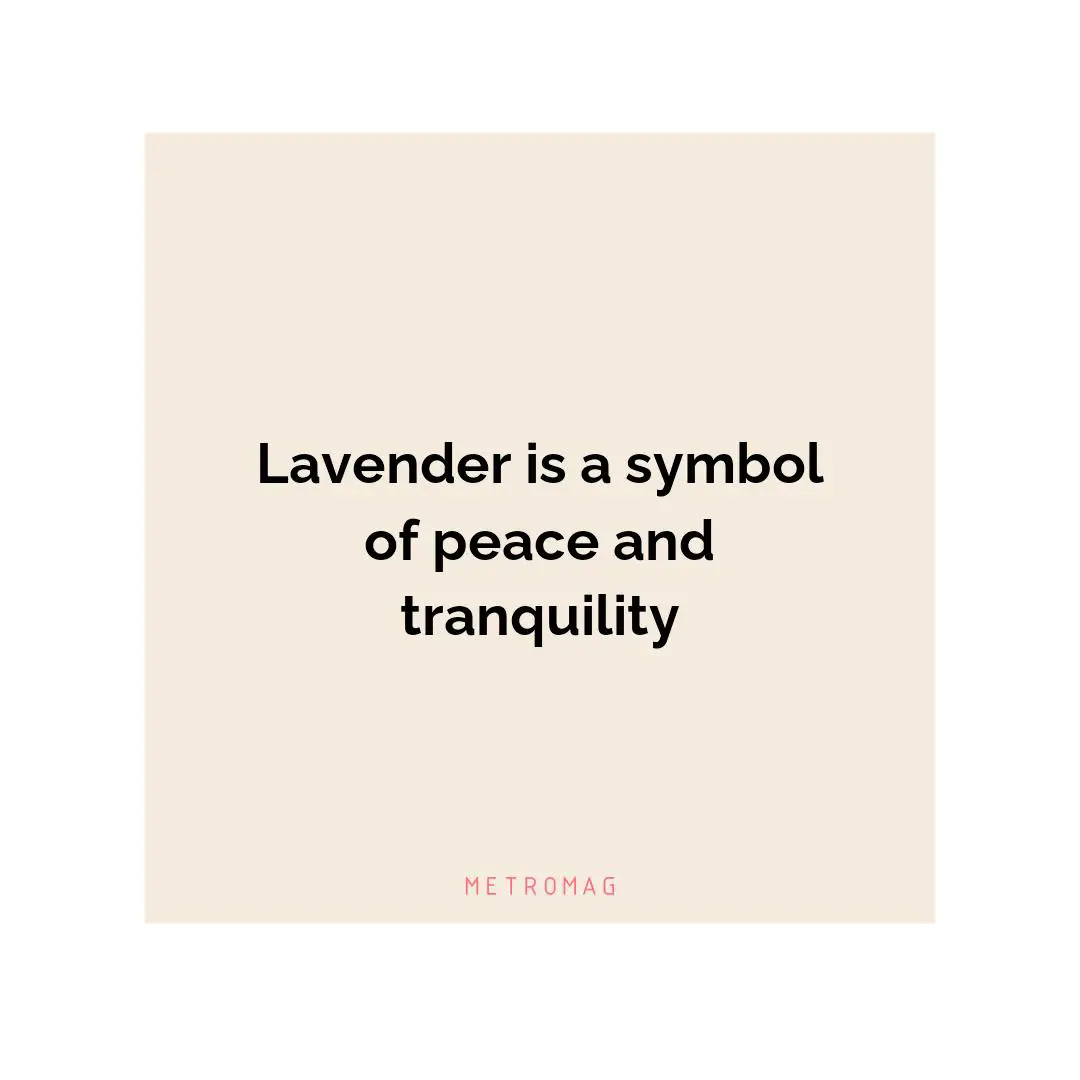 Lavender is a symbol of peace and tranquility