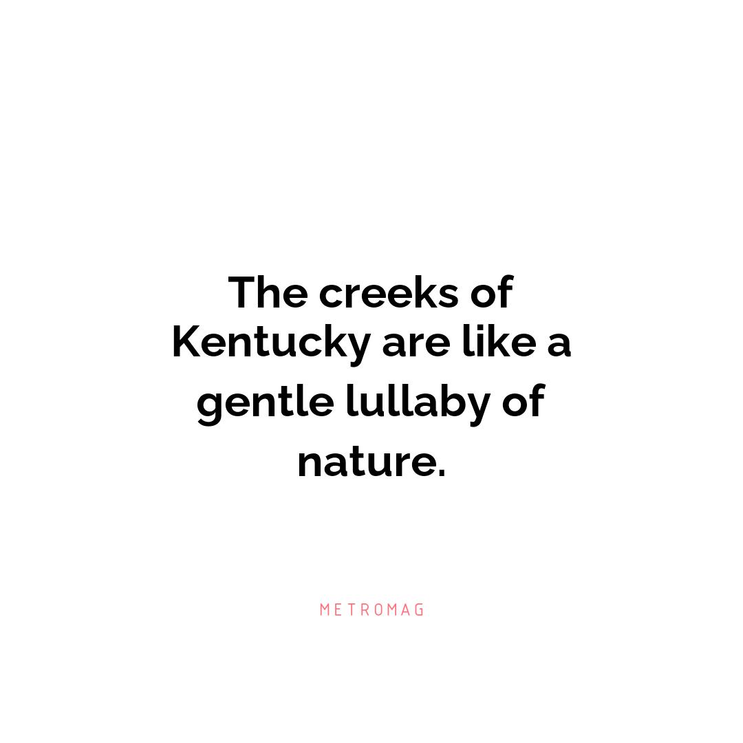 The creeks of Kentucky are like a gentle lullaby of nature.