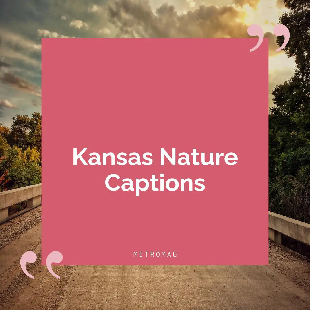 Kansas Nature Captions