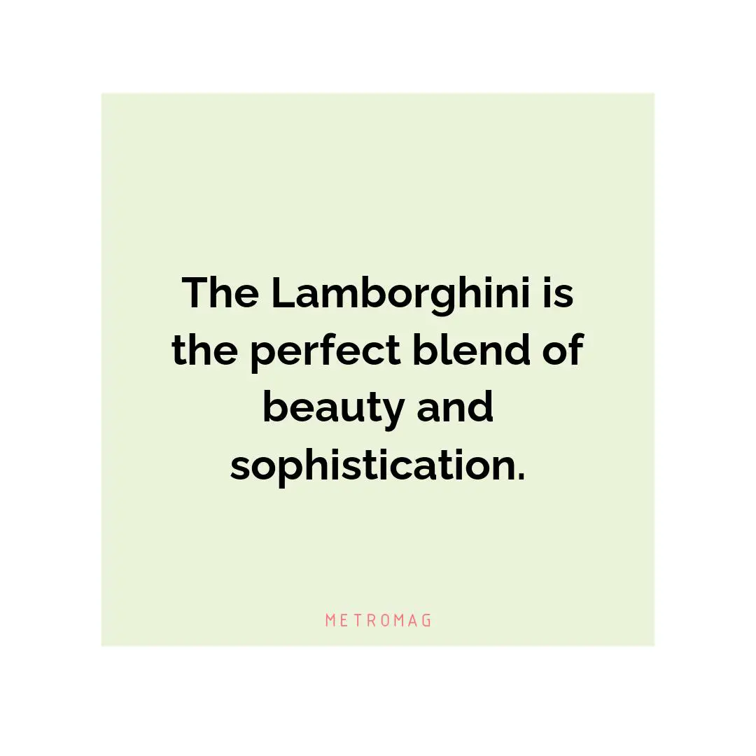 The Lamborghini is the perfect blend of beauty and sophistication.