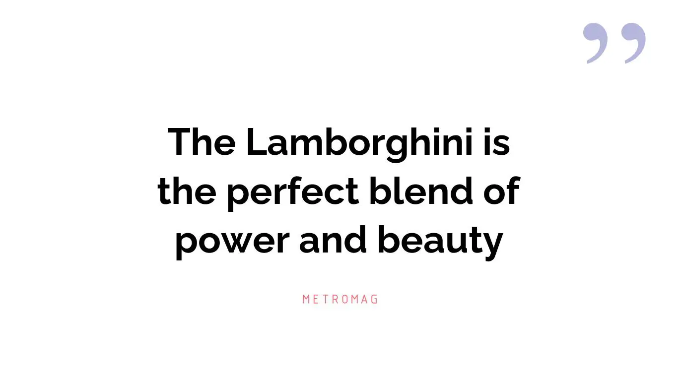 The Lamborghini is the perfect blend of power and beauty