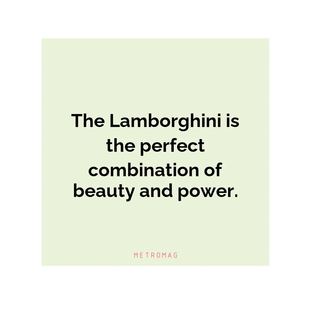 The Lamborghini is the perfect combination of beauty and power.
