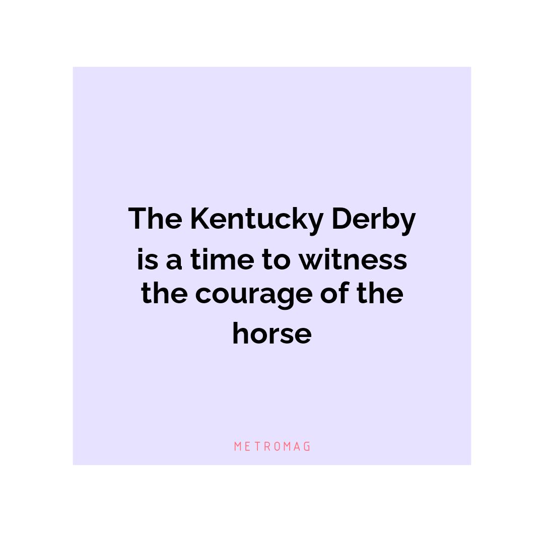 The Kentucky Derby is a time to witness the courage of the horse