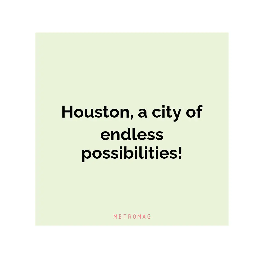 Houston, a city of endless possibilities!