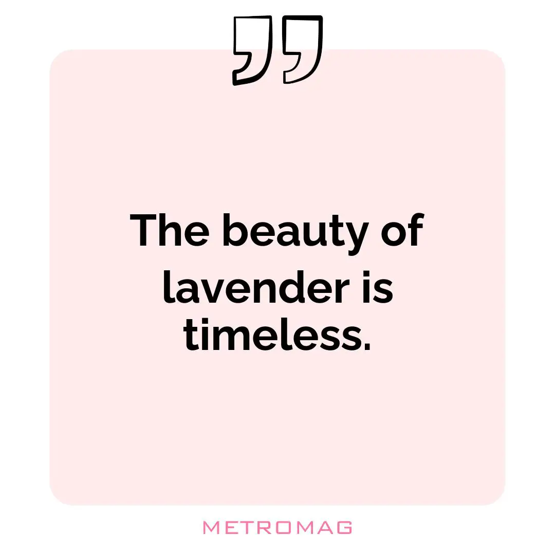 The beauty of lavender is timeless.