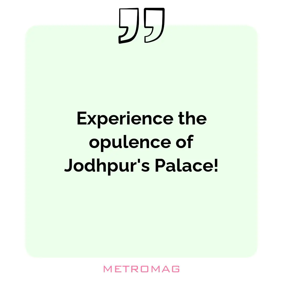 Experience the opulence of Jodhpur's Palace!
