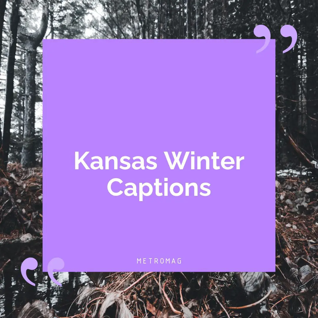 Kansas Winter Captions