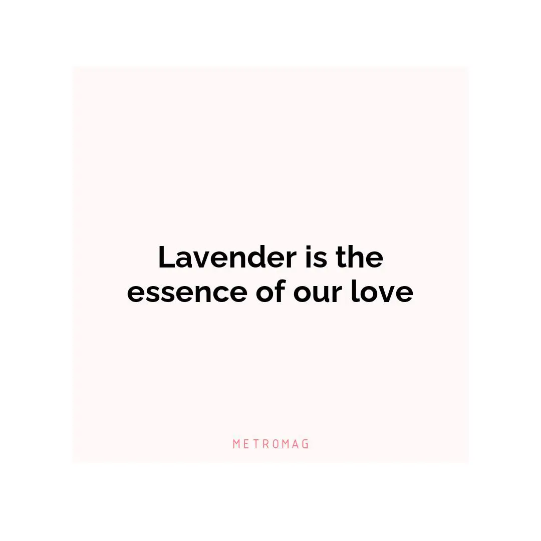 Lavender is the essence of our love
