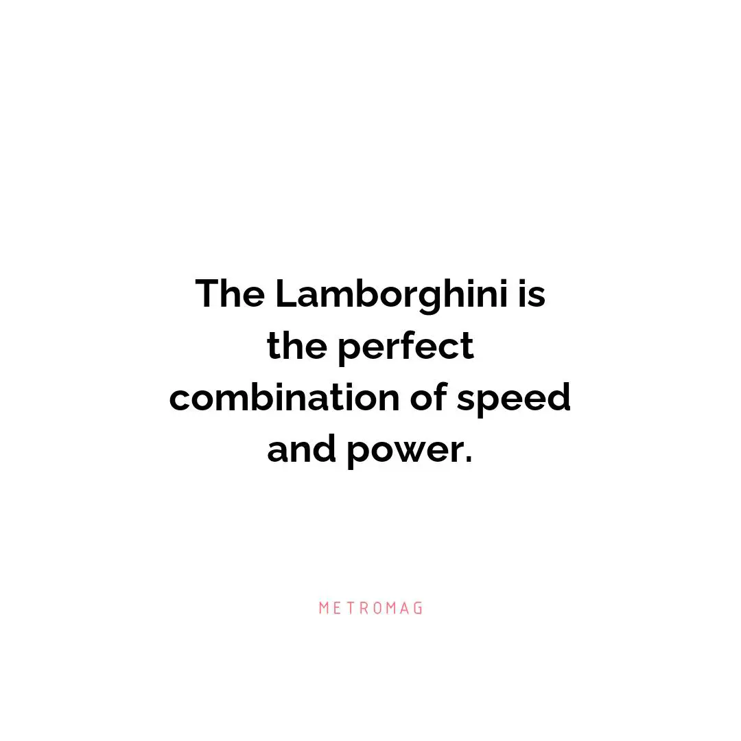 The Lamborghini is the perfect combination of speed and power.