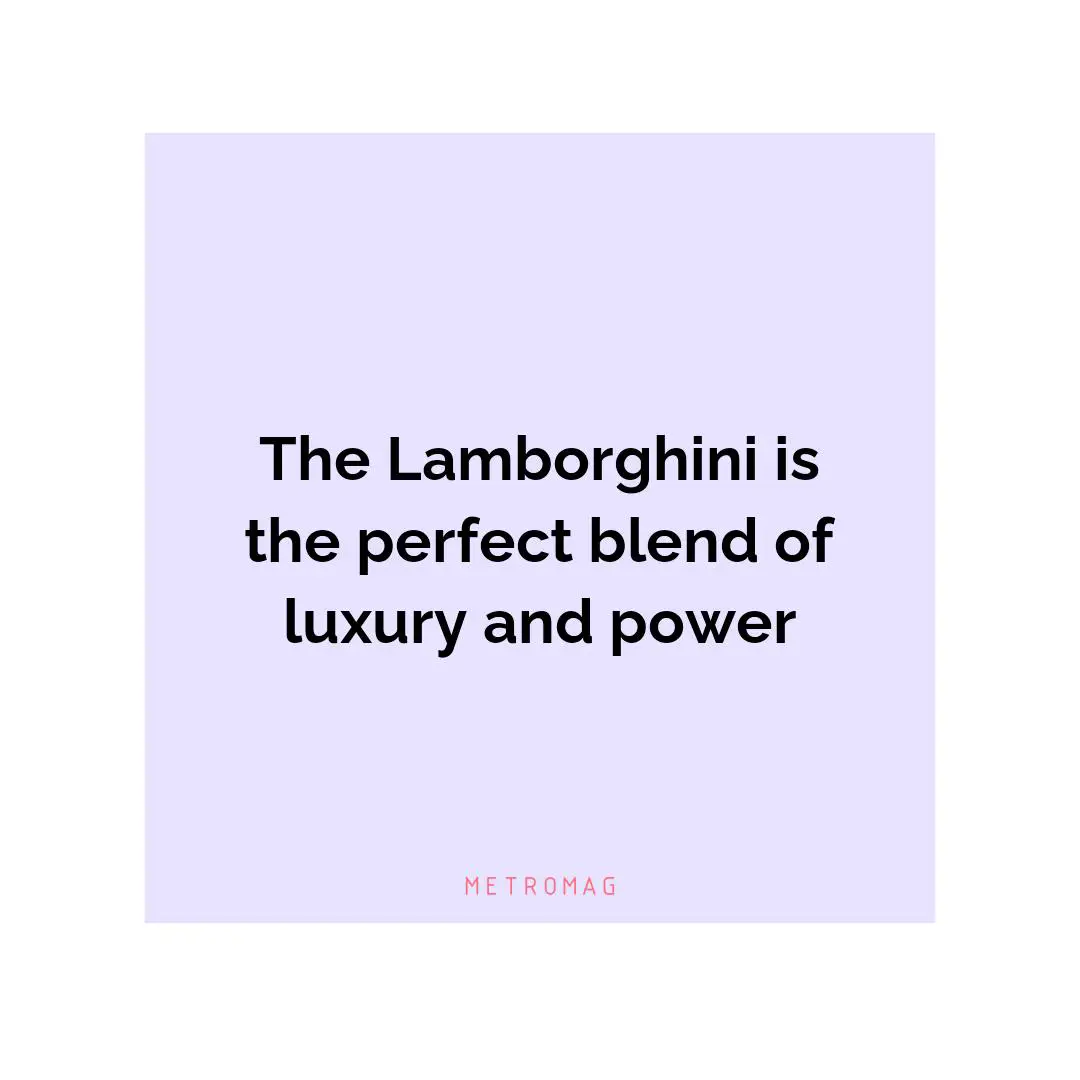 The Lamborghini is the perfect blend of luxury and power