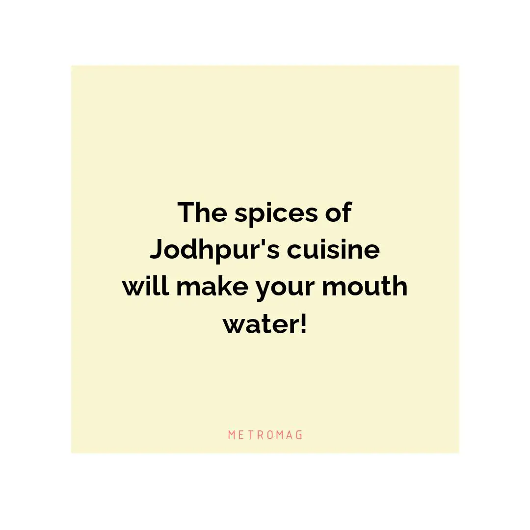 The spices of Jodhpur's cuisine will make your mouth water!