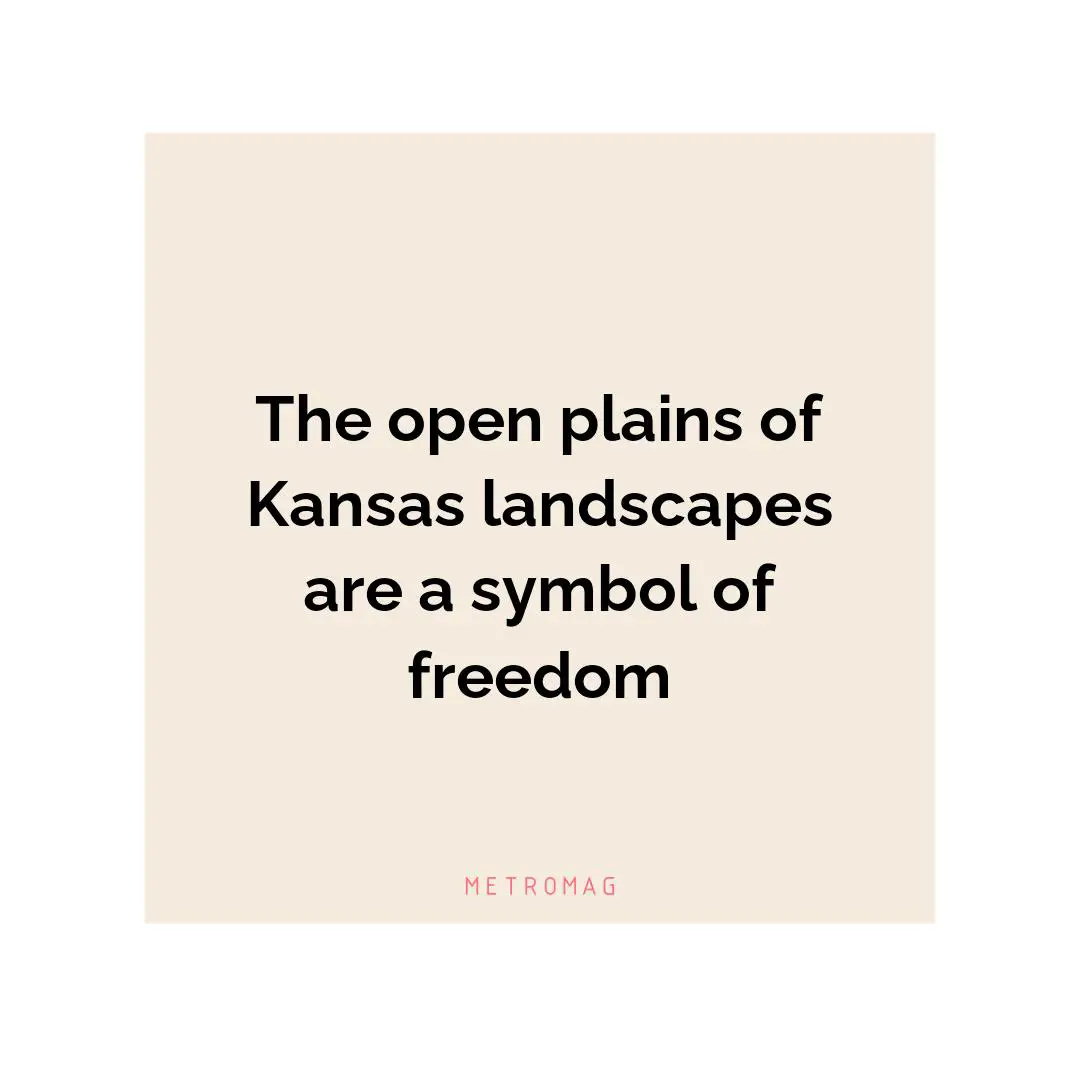 The open plains of Kansas landscapes are a symbol of freedom