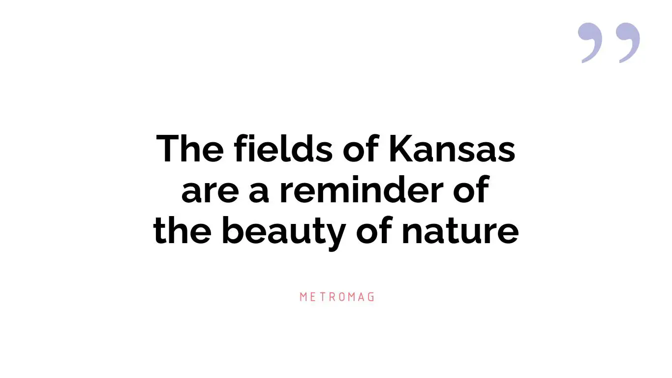 The fields of Kansas are a reminder of the beauty of nature