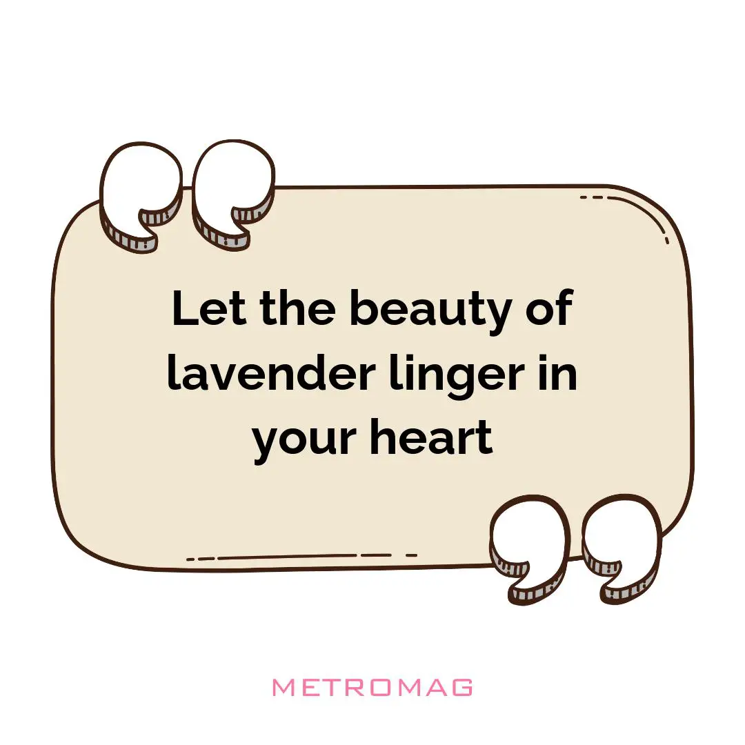 Let the beauty of lavender linger in your heart