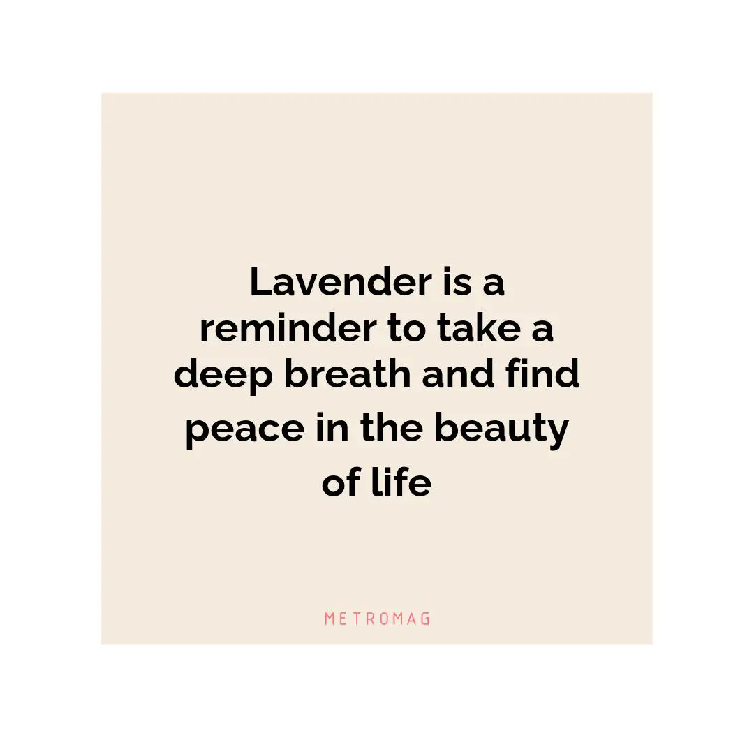 Lavender is a reminder to take a deep breath and find peace in the beauty of life