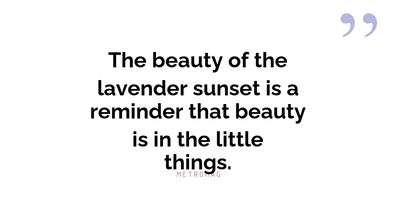 The beauty of the lavender sunset is a reminder that beauty is in the little things.