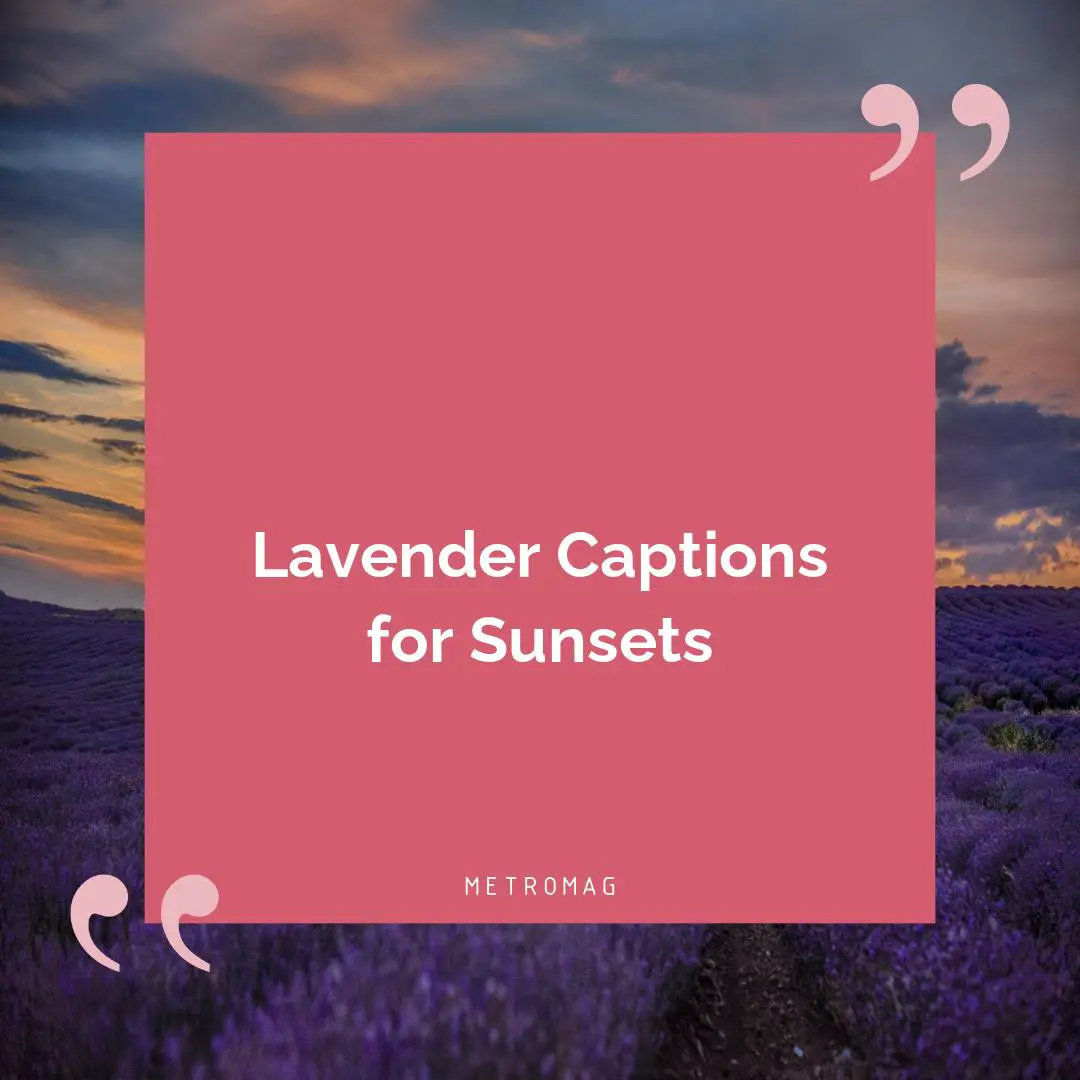 Lavender Captions for Sunsets