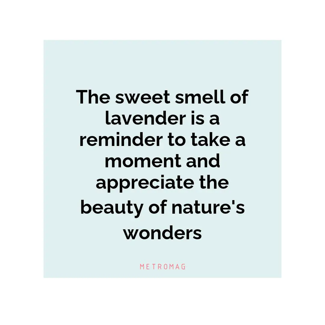 The sweet smell of lavender is a reminder to take a moment and appreciate the beauty of nature's wonders