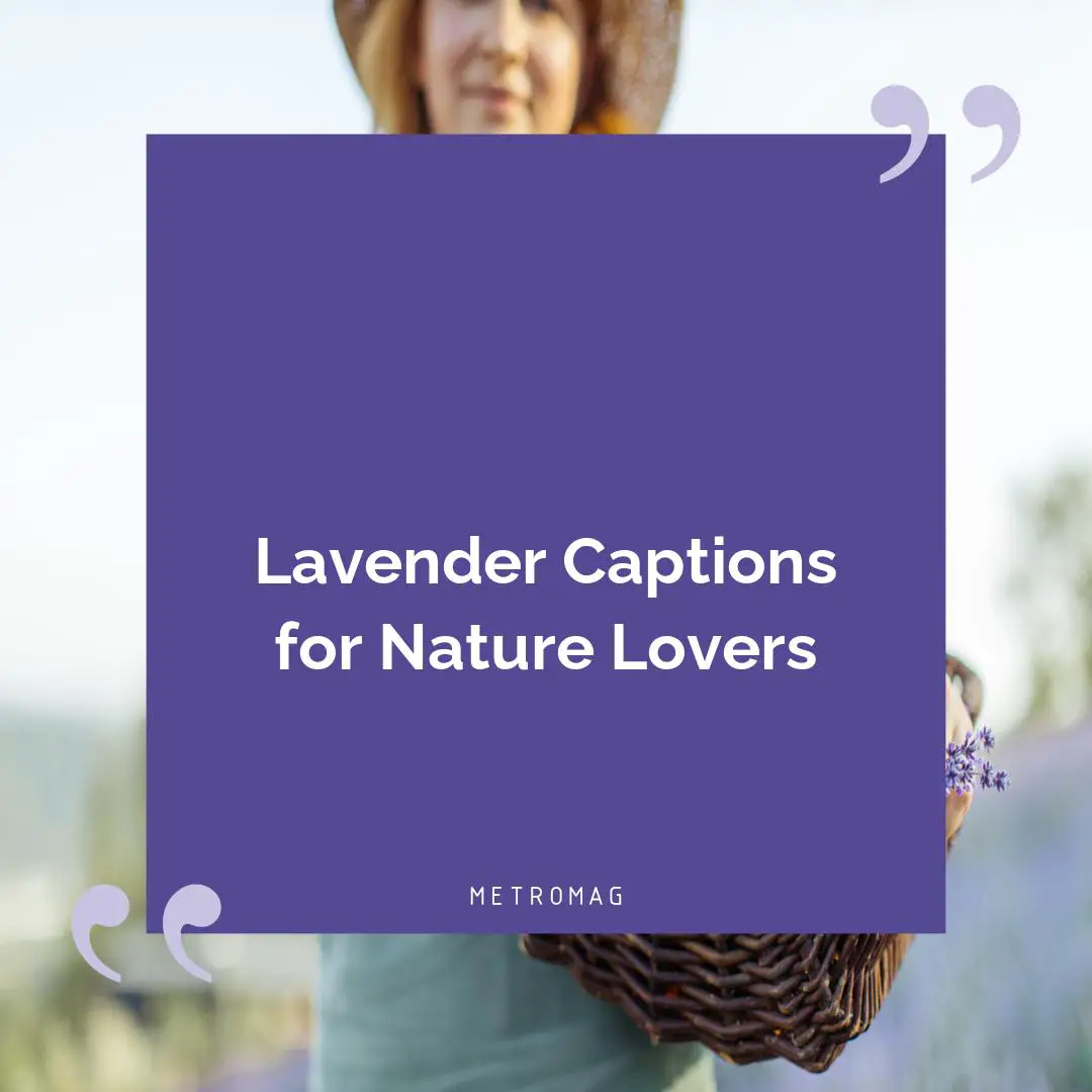 Lavender Captions for Nature Lovers
