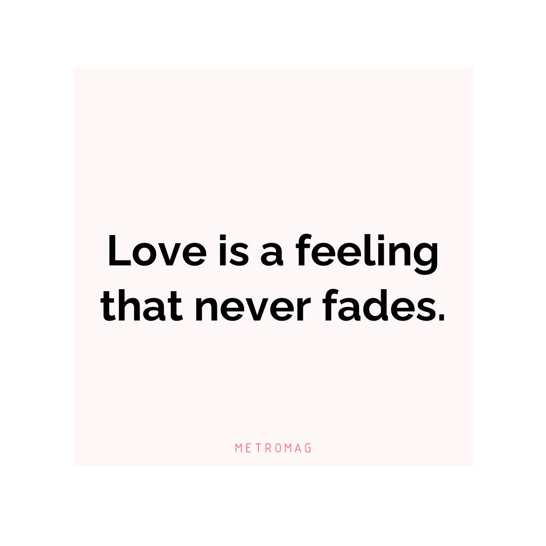 Love is a feeling that never fades.