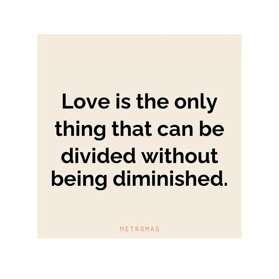 Love is the only thing that can be divided without being diminished.