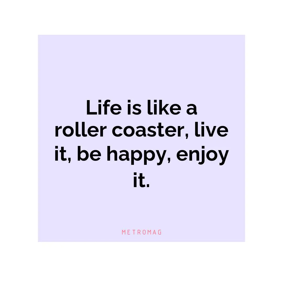 Life is like a roller coaster, live it, be happy, enjoy it.