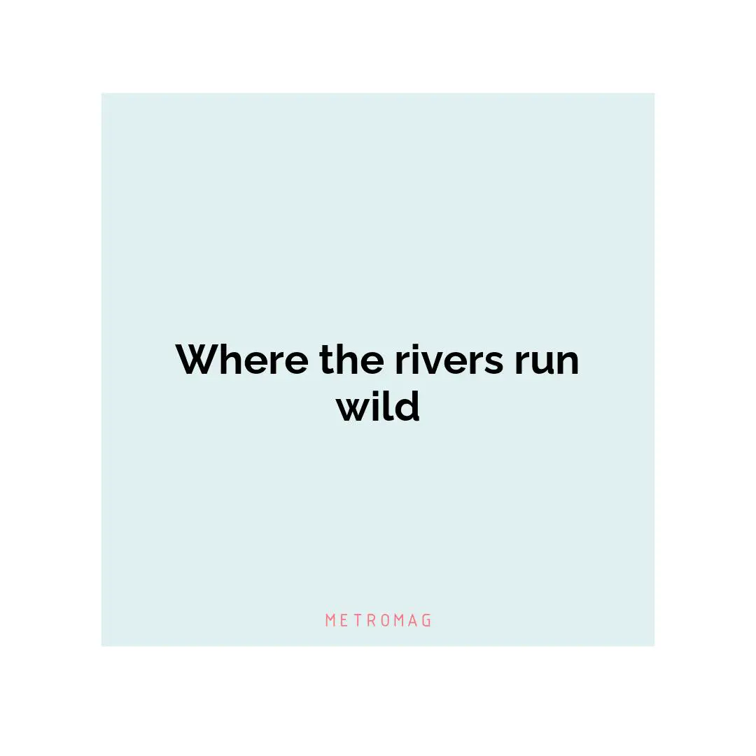 Where the rivers run wild