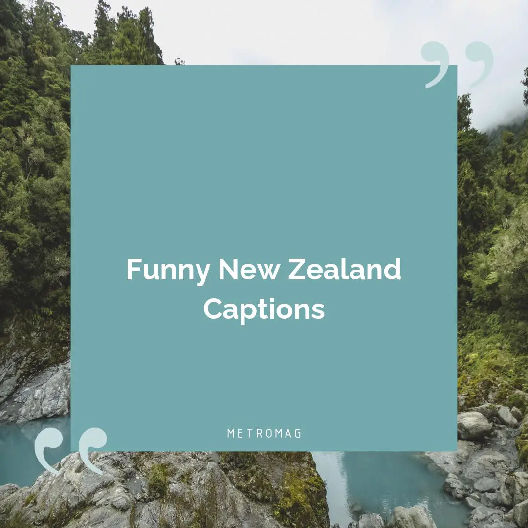 Funny New Zealand Captions