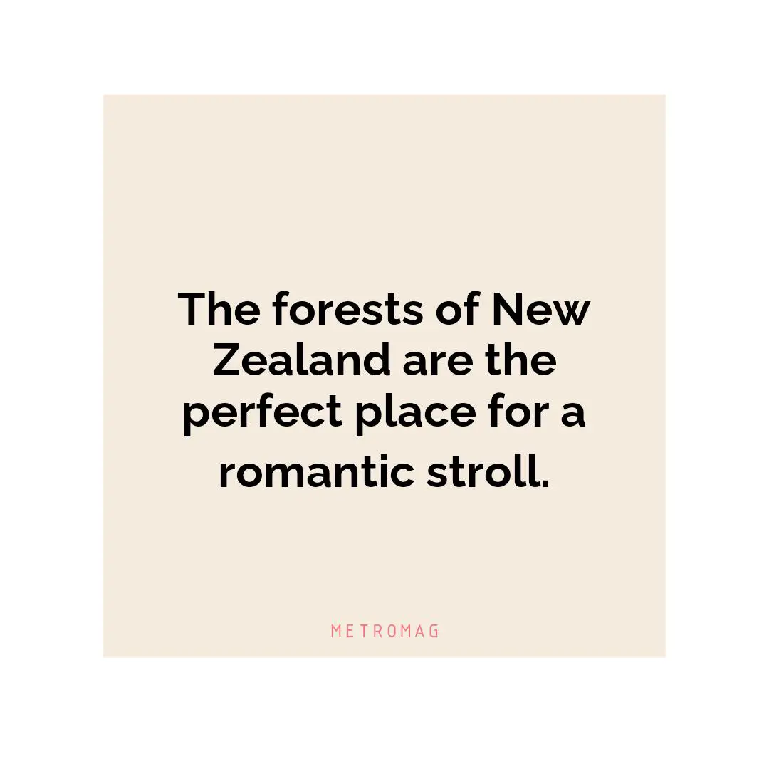 The forests of New Zealand are the perfect place for a romantic stroll.