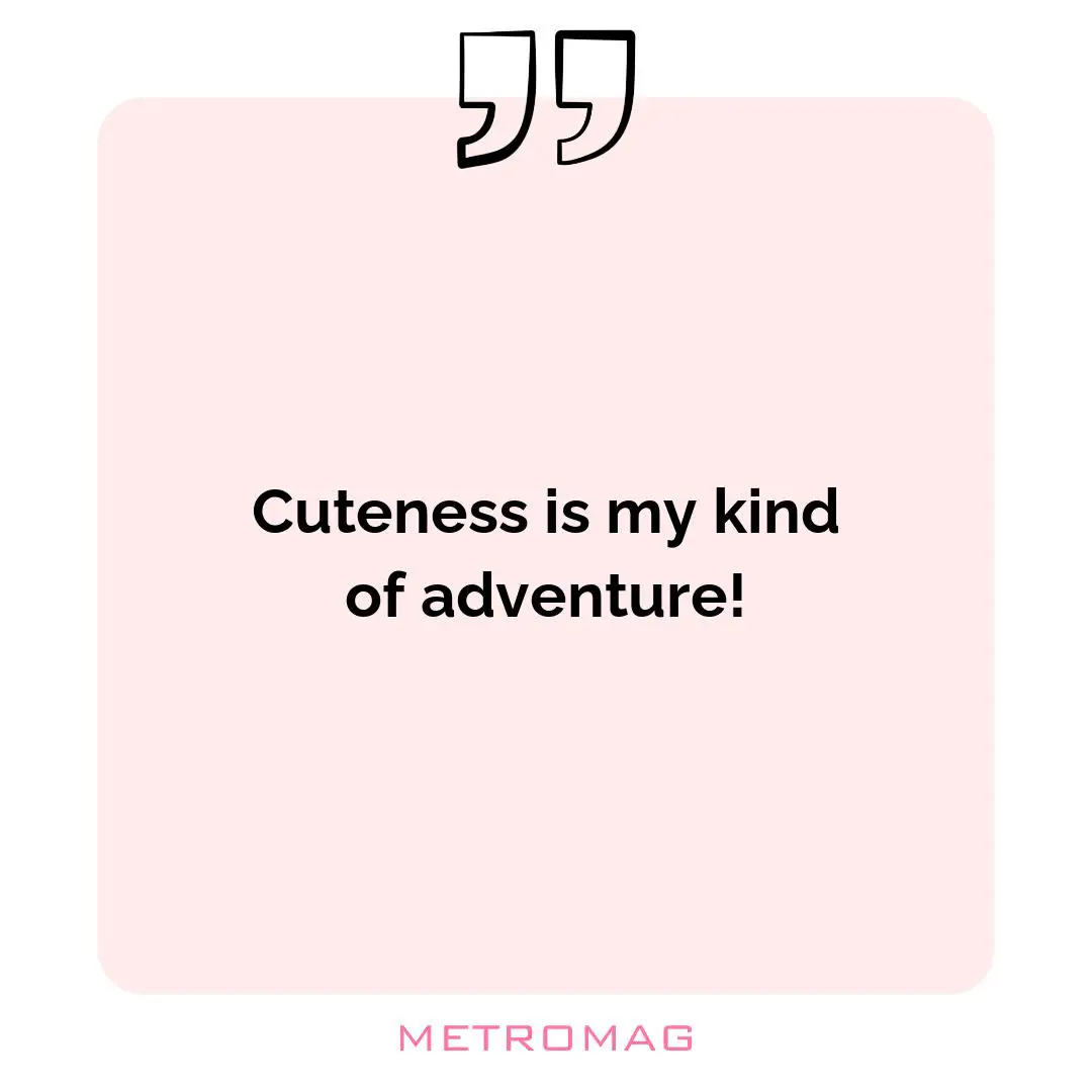 Cuteness is my kind of adventure!