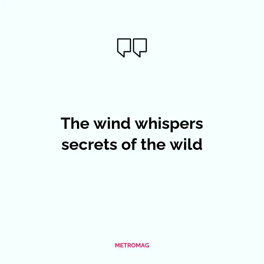 The wind whispers secrets of the wild