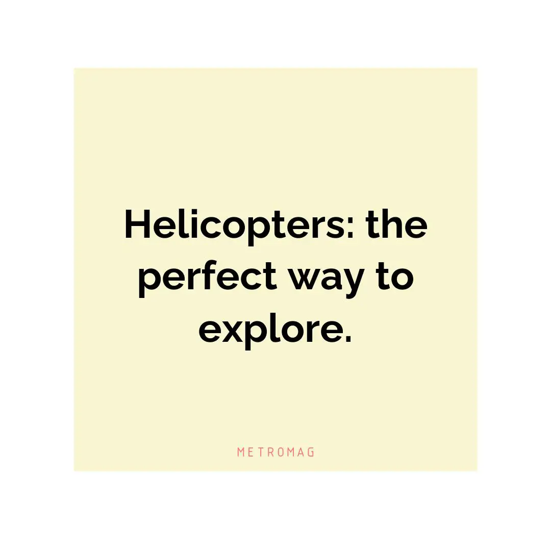 Helicopters: the perfect way to explore.