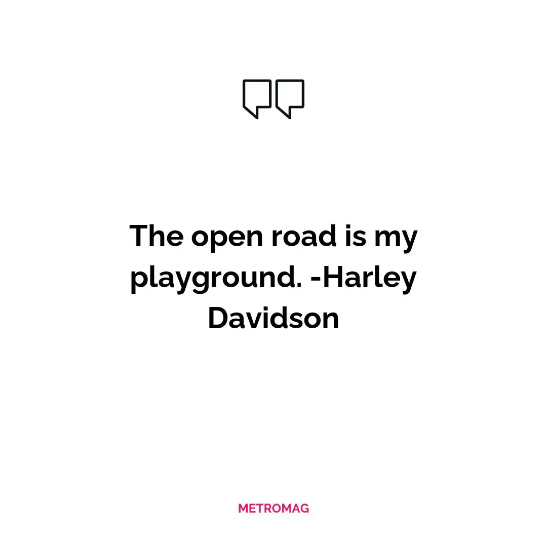 The open road is my playground. -Harley Davidson