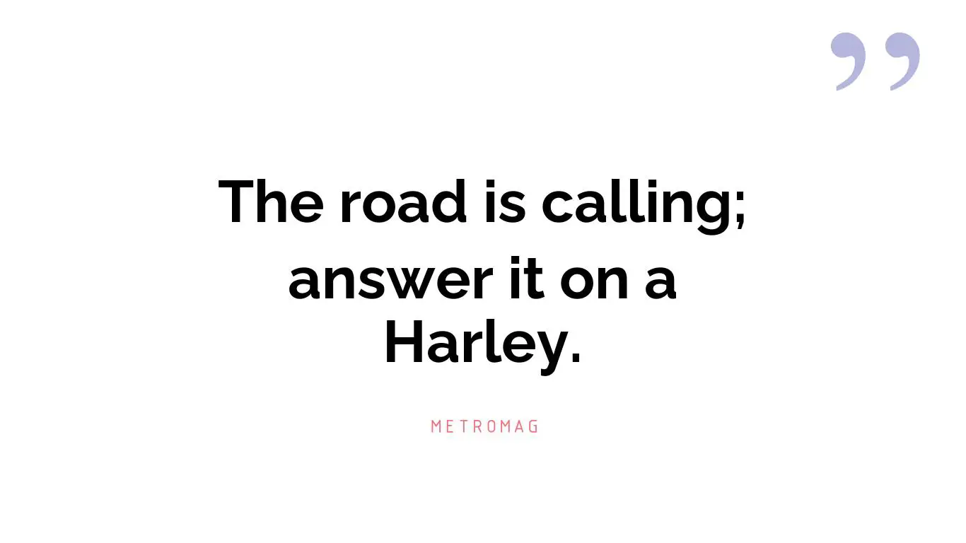 The road is calling; answer it on a Harley.