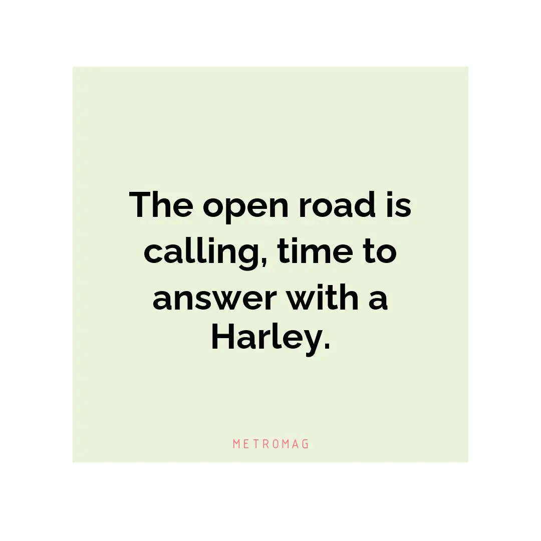 The open road is calling, time to answer with a Harley.