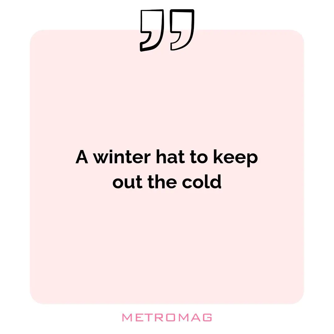 A winter hat to keep out the cold