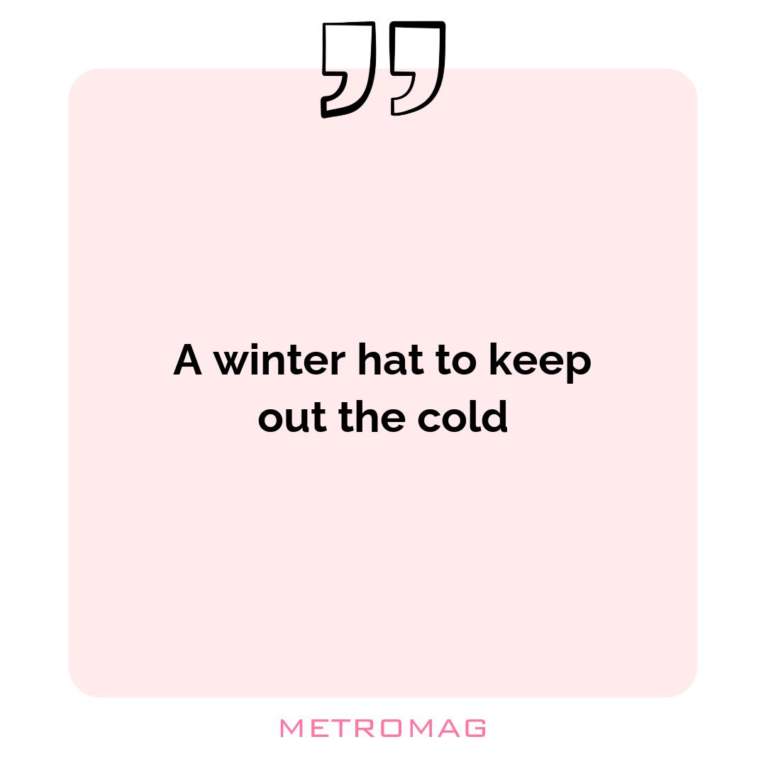 A winter hat to keep out the cold