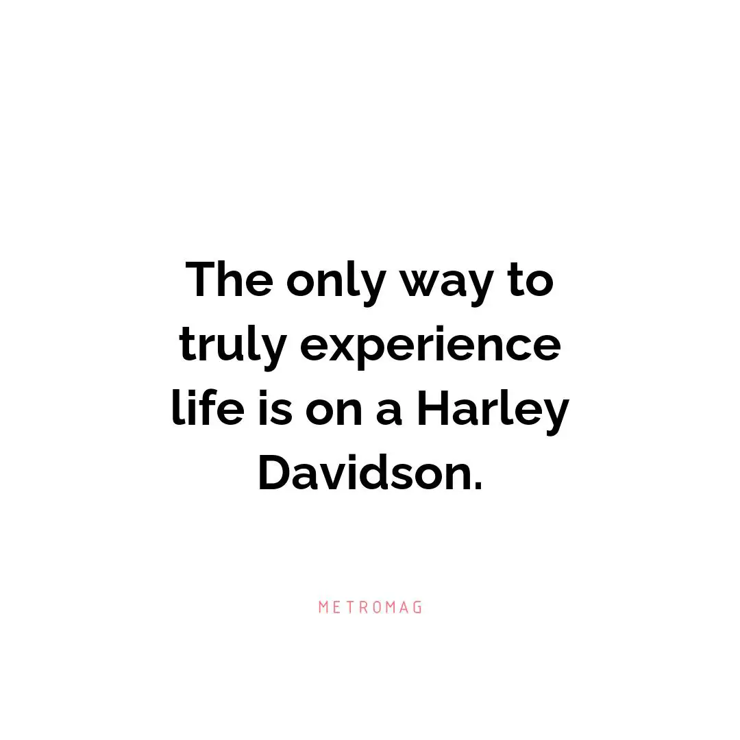 The only way to truly experience life is on a Harley Davidson.