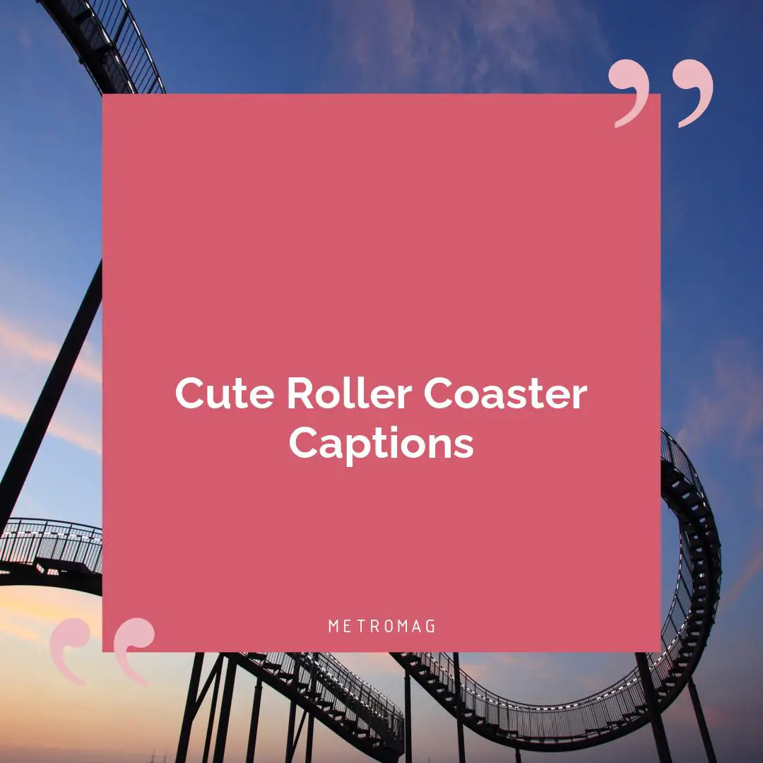Cute Roller Coaster Captions