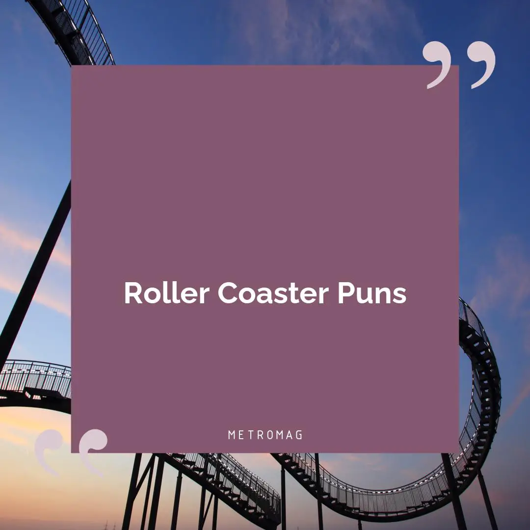 Roller Coaster Puns