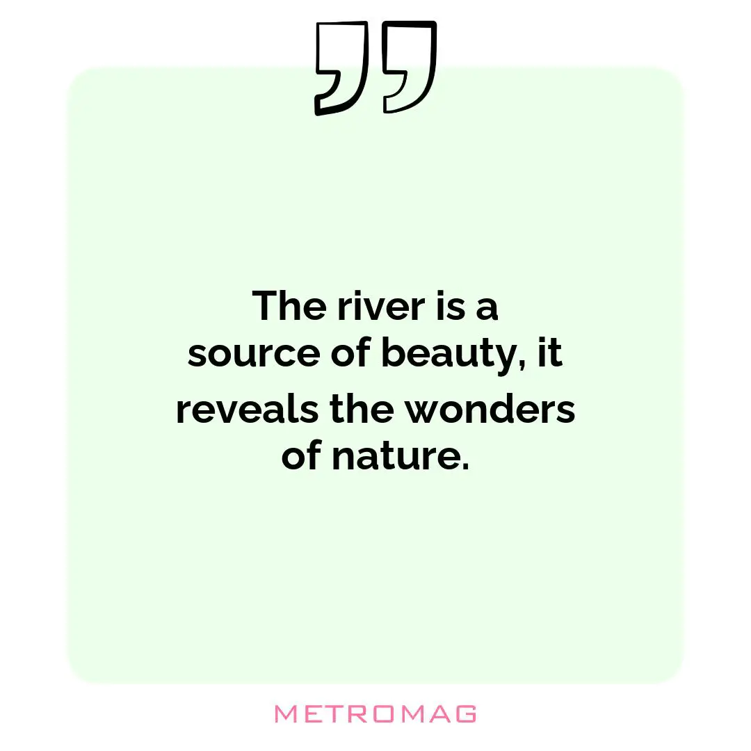 The river is a source of beauty, it reveals the wonders of nature.
